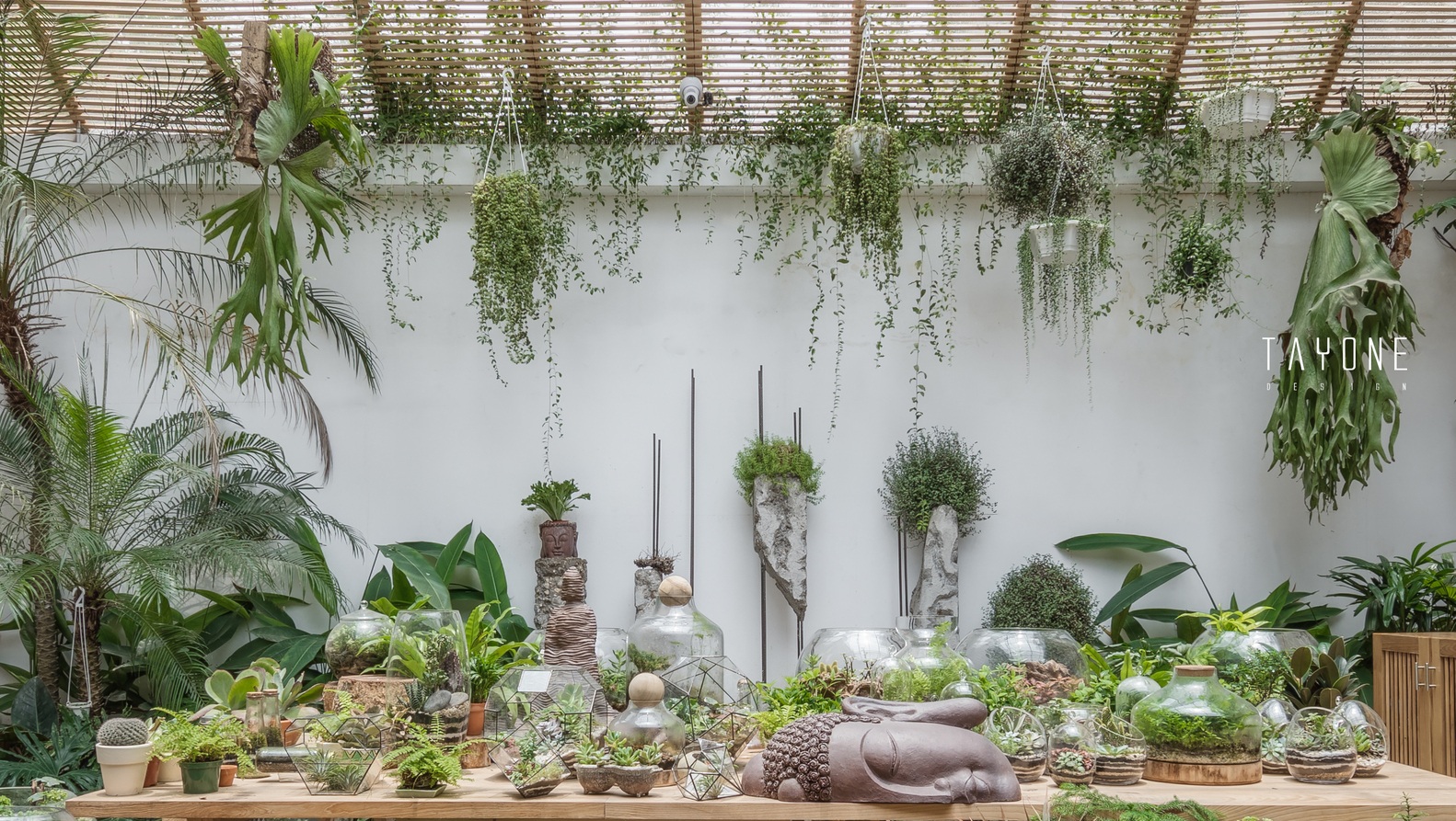 Quán cà phê như khu rừng nhiệt đới giữa lòng Hà Nội - 10 Quán cà phê như khu rừng nhiệt đới giữa lòng Hà Nội - 10