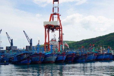 Gia Lai di dời hơn 2.500 tàu cá để phát triển kinh tế biển