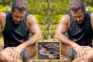 Tài tử hàng đầu Ấn Độ Salman Khan bị rắn cắn