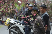 Lắng đọng những khoảnh khắc tại chợ hoa Hàng Lược ngày cuối năm