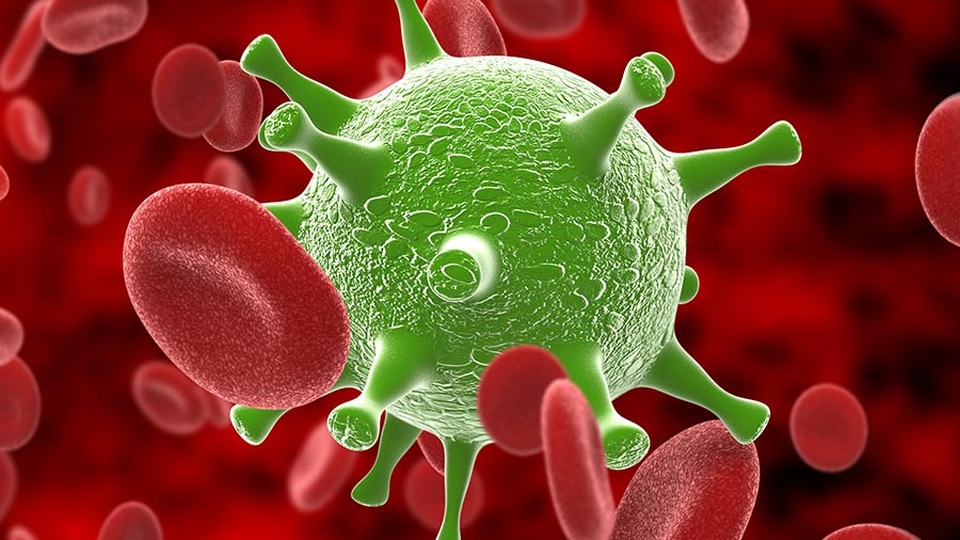 Bắt đầu thử nghiệm vắc-xin virus corona - 1 Bắt đầu thử nghiệm vắc-xin virus corona - 1