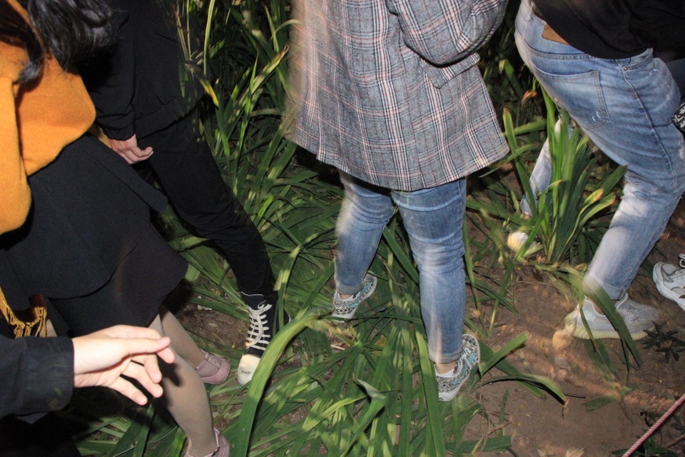 Vườn hoa ven Hồ Gươm bị giẫm nát sau màn pháo hoa chào năm mới - 4 Vườn hoa ven Hồ Gươm bị giẫm nát sau màn pháo hoa chào năm mới - 4