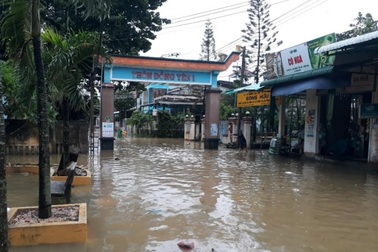 Gió giật mạnh, người dân Quảng Ngãi hối hả chống bão