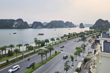 Bộ Công an yêu cầu Quảng Ninh cung cấp tài liệu dự án cây xanh