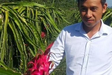 8X bỏ việc lương cao về quê "nghịch đất" lãi 300 triệu/năm.