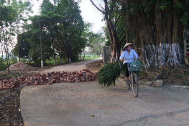 Thanh tra toàn diện diện tích đất khu sân bay Miếu Môn - xã Đồng Tâm
