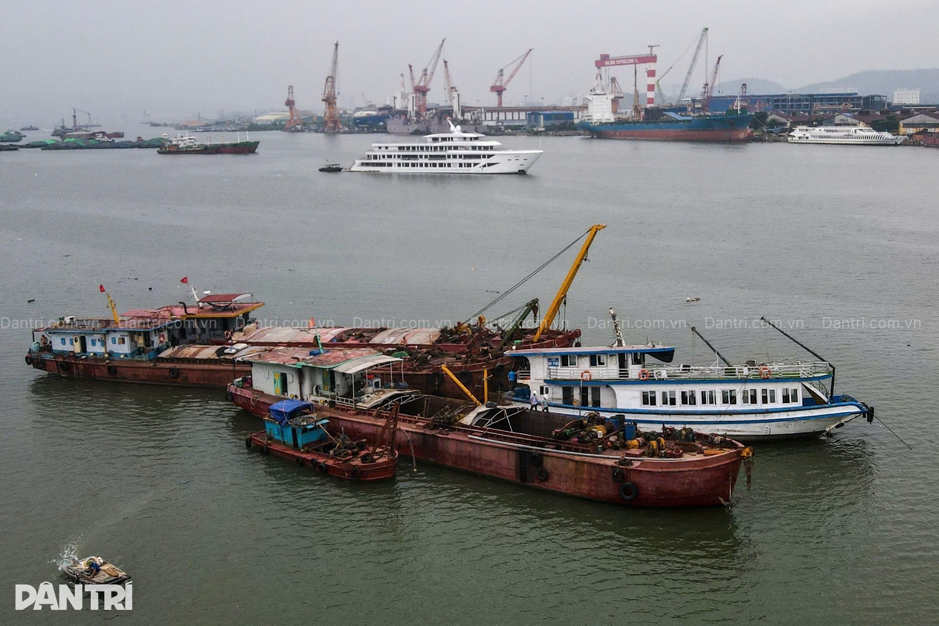Văn Mai Hương hoãn ra mắt MV, Trấn Thành đau xót vì vụ lật tàu Hạ Long - 2