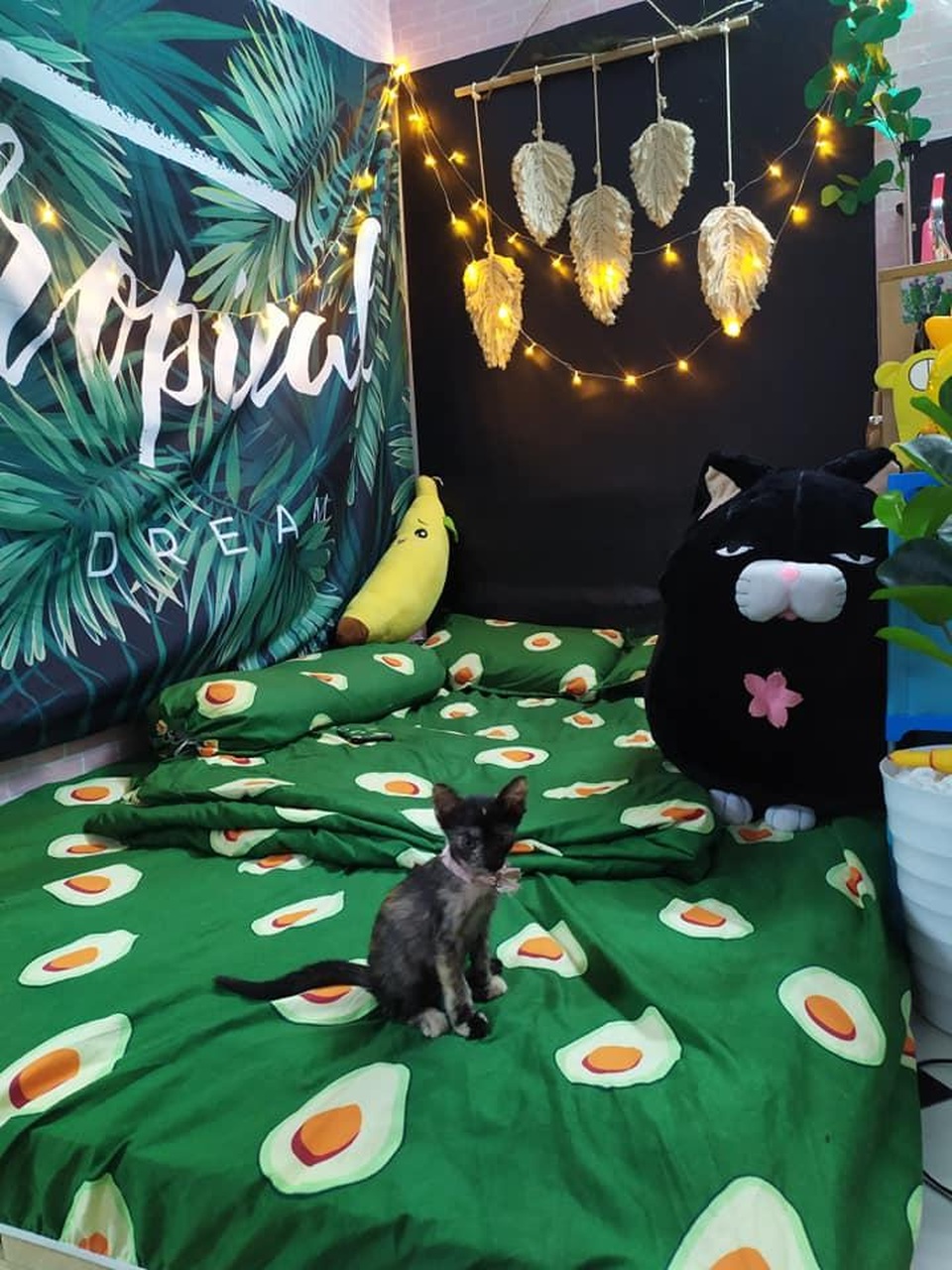 9x đầu tư 6 triệu đồng cải tạo phòng trọ, ai ngờ đẹp như homestay - 10 9x đầu tư 6 triệu đồng cải tạo phòng trọ, ai ngờ đẹp như homestay - 10