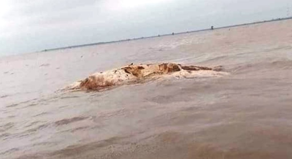 Phát hiện vật thể nghi xác cá voi - 1 Phát hiện vật thể nghi xác cá voi - 1