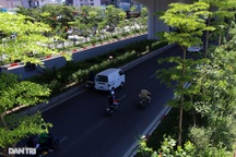 Con đường mát mẻ dài nhất Hà Nội giữa những ngày nắng nóng đỉnh điểm