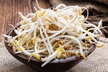 Gần 3.000 tấn giá đỗ ủ chất cấm tuồn ra thị trường, làm thế nào nhận biết?