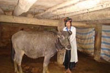 Gặp những gia đình mất “đầu cơ nghiệp”