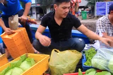 Ngư dân Bình Định “đạp sóng” ăn Tết trên biển