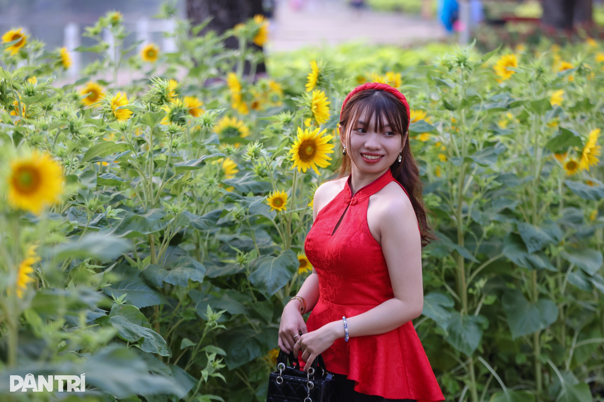 Ngắm linh vật kiểu xếp giấy ở đường hoa xuân khu nhà giàu Phú Mỹ Hưng - 7 Ngắm linh vật kiểu xếp giấy ở đường hoa xuân khu nhà giàu Phú Mỹ Hưng - 7