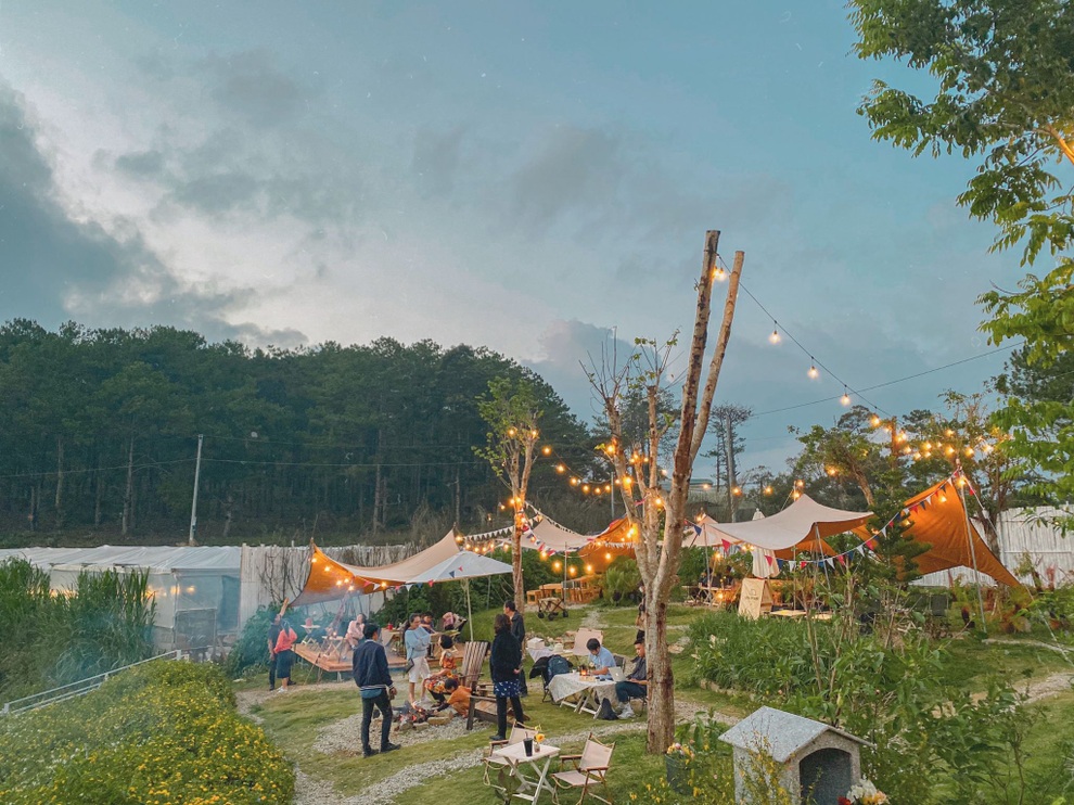 Gia đình Sài Gòn bỏ phố về rừng, biến đồi trọc thành trang trại trong mơ - 5