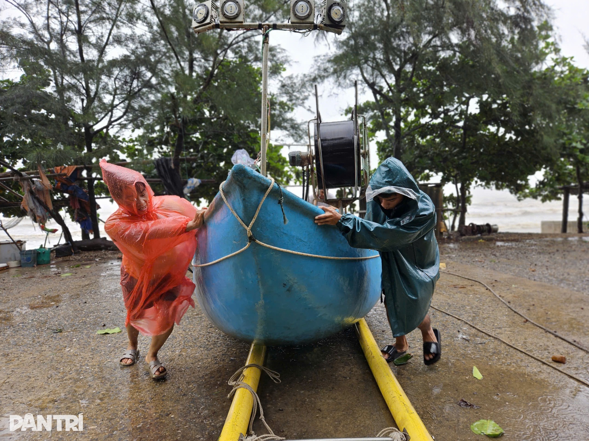 Nghệ An, Hà Tĩnh oằn mình chống bão Kajiki: Cây đổ, nhà tốc mái tứ tung - 15 Nghệ An, Hà Tĩnh oằn mình chống bão Kajiki: Cây đổ, nhà tốc mái tứ tung - 15