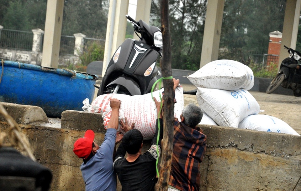 Vì sao bến cá 43 tỷ đồng phải bỏ hoang suốt nhiều năm? - 9 Vì sao bến cá 43 tỷ đồng phải bỏ hoang suốt nhiều năm? - 9