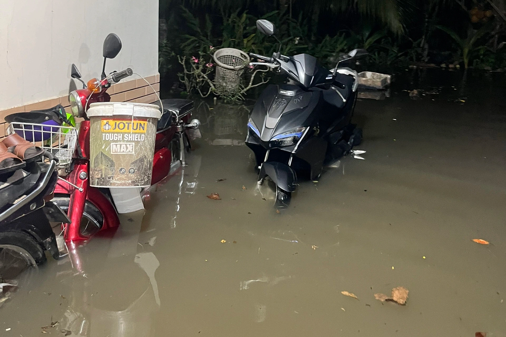 Triều cường bất ngờ, người dân vừa đón Tết vừa chạy ngập - 3 Triều cường bất ngờ, người dân vừa đón Tết vừa chạy ngập - 3