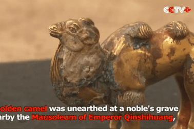 Tìm thấy tượng lạc đà bằng vàng nguyên khối gần lăng mộ Tần Thủy Hoàng