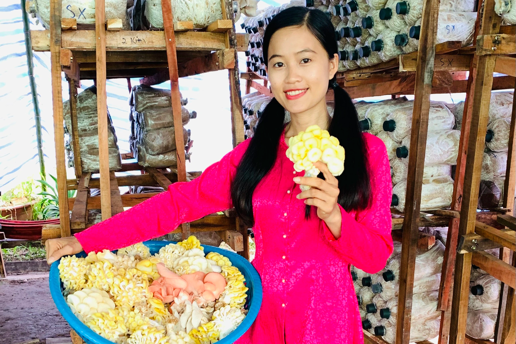 Bước lùi mạo hiểm của cô gái 9X, thành quả là 70 triệu đồng/tháng - 1 Bước lùi mạo hiểm của cô gái 9X, thành quả là 70 triệu đồng/tháng - 1
