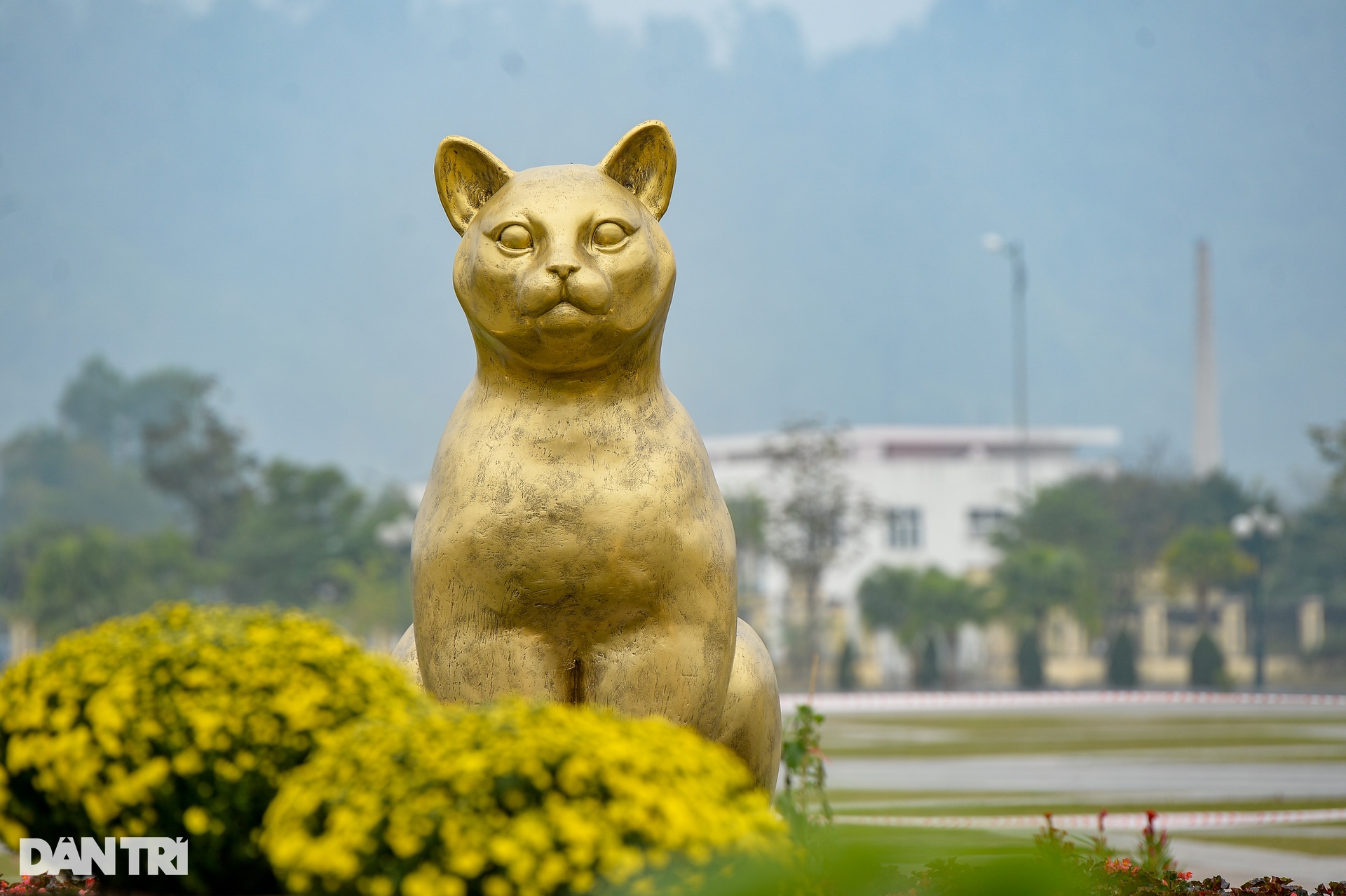 Gia đình linh vật mèo chào Xuân Quý Mão 2023 ở Hòa Bình - 9 Gia đình linh vật mèo chào Xuân Quý Mão 2023 ở Hòa Bình - 9