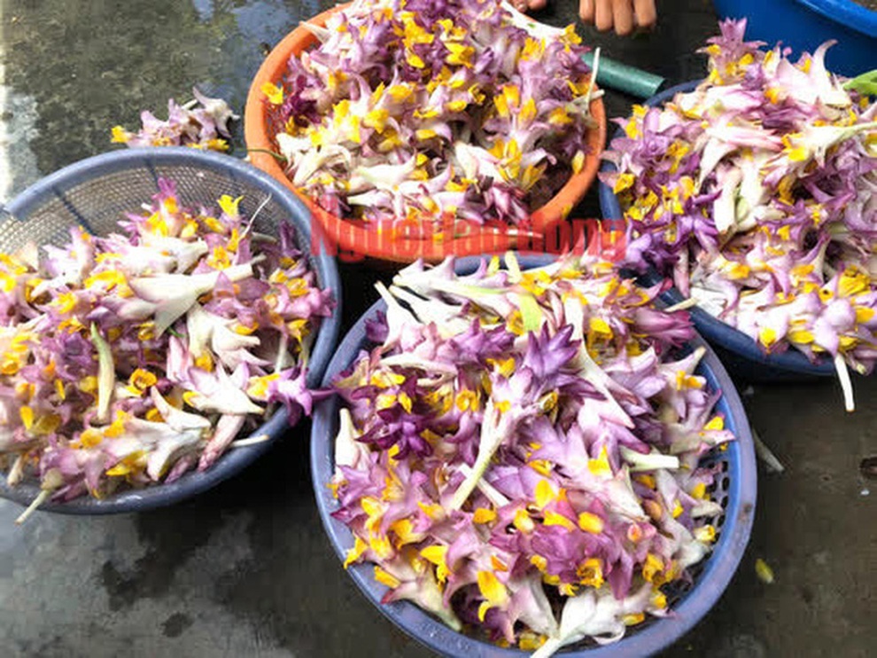 Bông giờ - quà độc lạ của mùa thu xứ Nẫu - 6 Bông giờ - quà độc lạ của mùa thu xứ Nẫu - 6