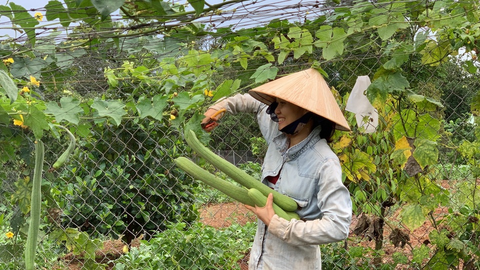 Chi tiền tỷ mua mảnh đất ngoại ô, vợ chồng ở Sài Gòn “trồng hoa, nuôi gà” - 17 Chi tiền tỷ mua mảnh đất ngoại ô, vợ chồng ở Sài Gòn “trồng hoa, nuôi gà” - 17