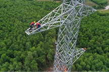 Đề xuất tạm sử dụng rừng phục vụ thi công các dự án điện