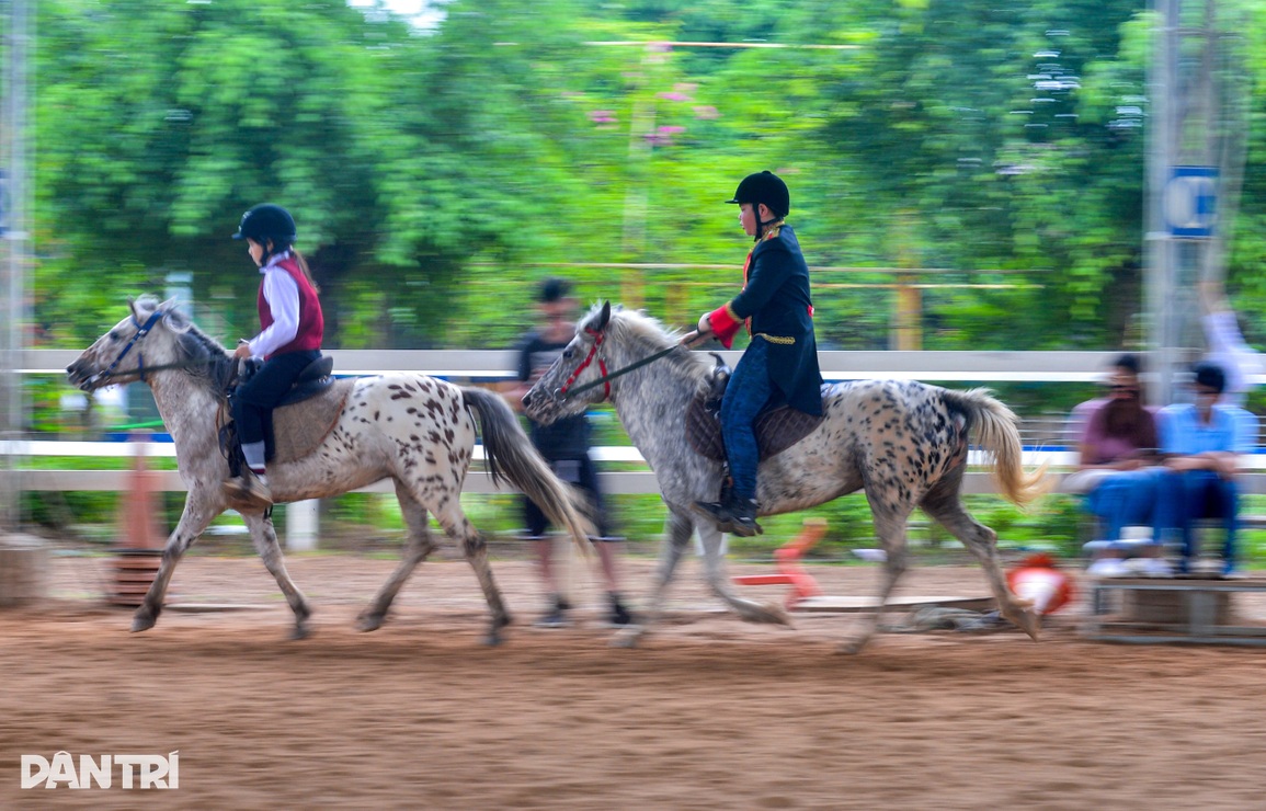 Người Hà Nội rủ nhau học cưỡi ngựa theo phong cách châu Âu - 3 Người Hà Nội rủ nhau học cưỡi ngựa theo phong cách châu Âu - 3