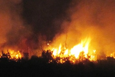 "Thủ phạm" gây cháy rừng Nam Hải Vân là đạn lân tinh