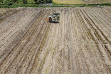 Mãn nhãn xem máy cuộn rơm dọn đồng, mỗi buổi kiếm bạc triệu