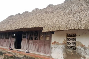 Độc đáo những ngôi nhà mái cói còn lại hiếm hoi ở Ninh Bình