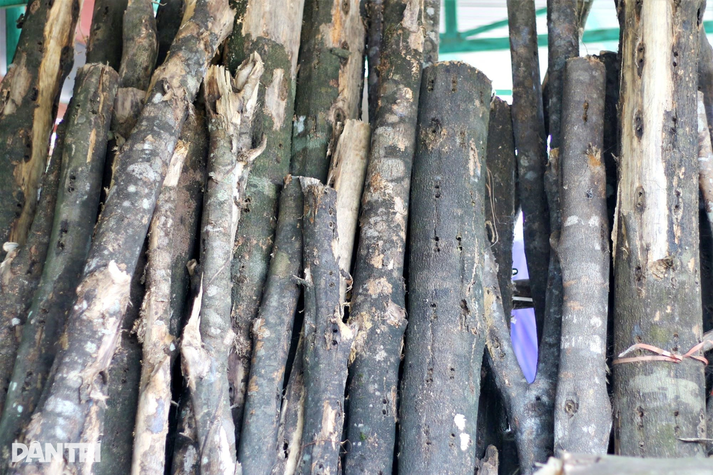 Kỳ công nghề xoi trầm, trật tay là mất tiền... chục triệu như chơi - 1 Kỳ công nghề xoi trầm, trật tay là mất tiền... chục triệu như chơi - 1