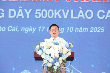 Phó Thủ tướng: Dự án 500kV Lào Cai - Vĩnh Yên lập kỷ lục thi công