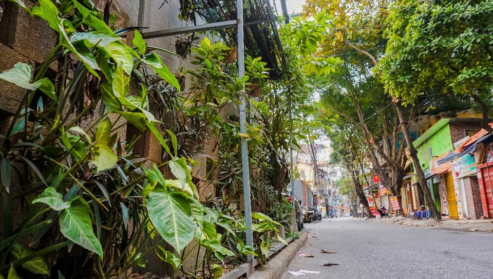 Ngỡ ngàng với khu vườn treo xanh mát được trồng trên bãi rác bốc mùi ở Hà Nội - 5 Ngỡ ngàng với khu vườn treo xanh mát được trồng trên bãi rác bốc mùi ở Hà Nội - 5