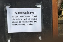 Nhiều khách sạn, villa miễn phí phòng để người dân tránh bão