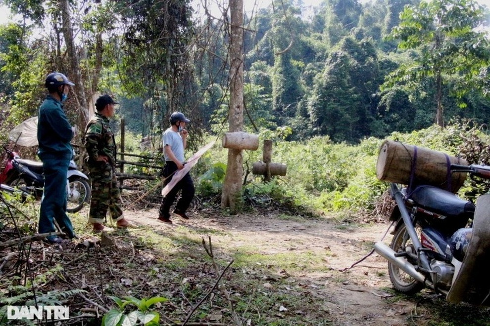 Thợ săn ong sứ nghe tiếng vỗ cánh, chờ tìm chiến binh - 9 Thợ săn ong sứ nghe tiếng vỗ cánh, chờ tìm chiến binh - 9