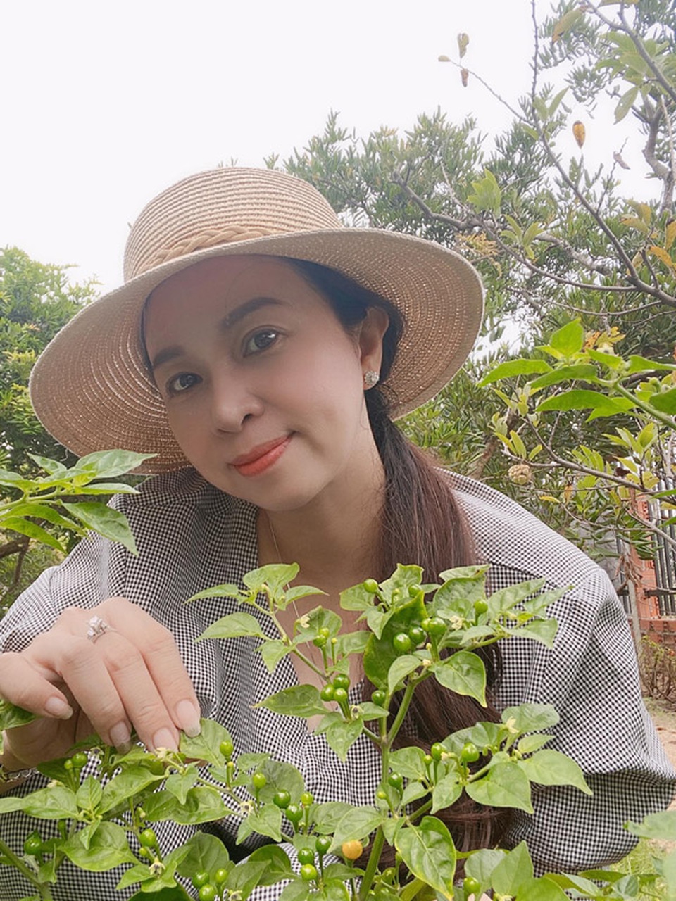 Bất ngờ loại ớt đắt nhất thế giới giá nửa tỷ một kg được người Việt đem tặng miễn phí - 2 Bất ngờ loại ớt đắt nhất thế giới giá nửa tỷ một kg được người Việt đem tặng miễn phí - 2