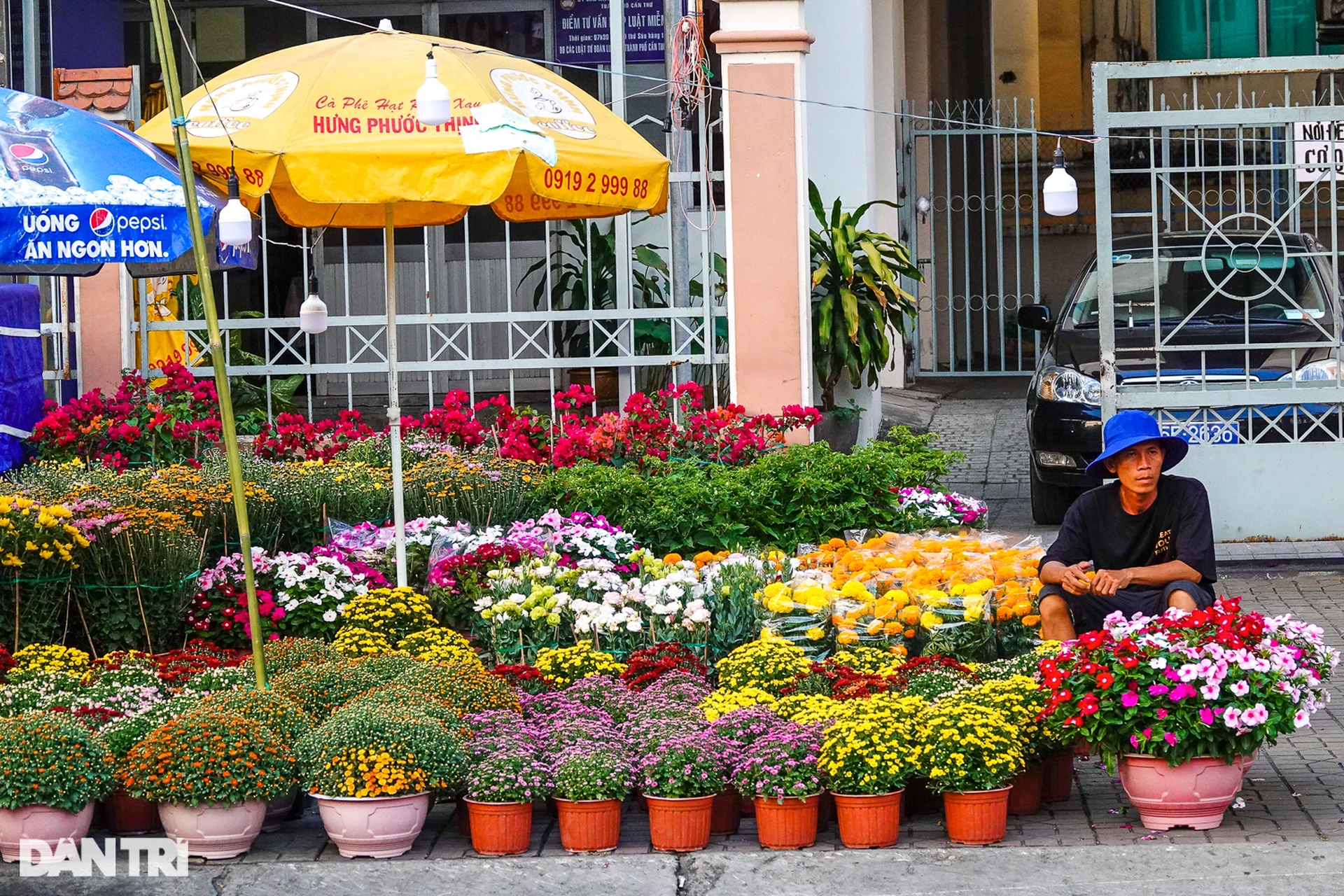 Chợ hoa Tết ở Cần Thơ: Giá niêm yết, giảm sâu vẫn bị khách ngó lơ - 3