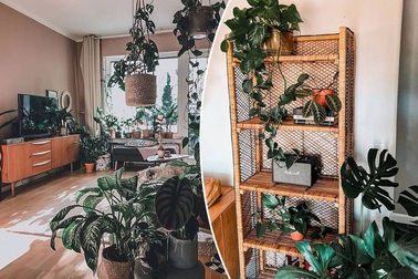 Những xu hướng nội thất thống trị trong năm 2020