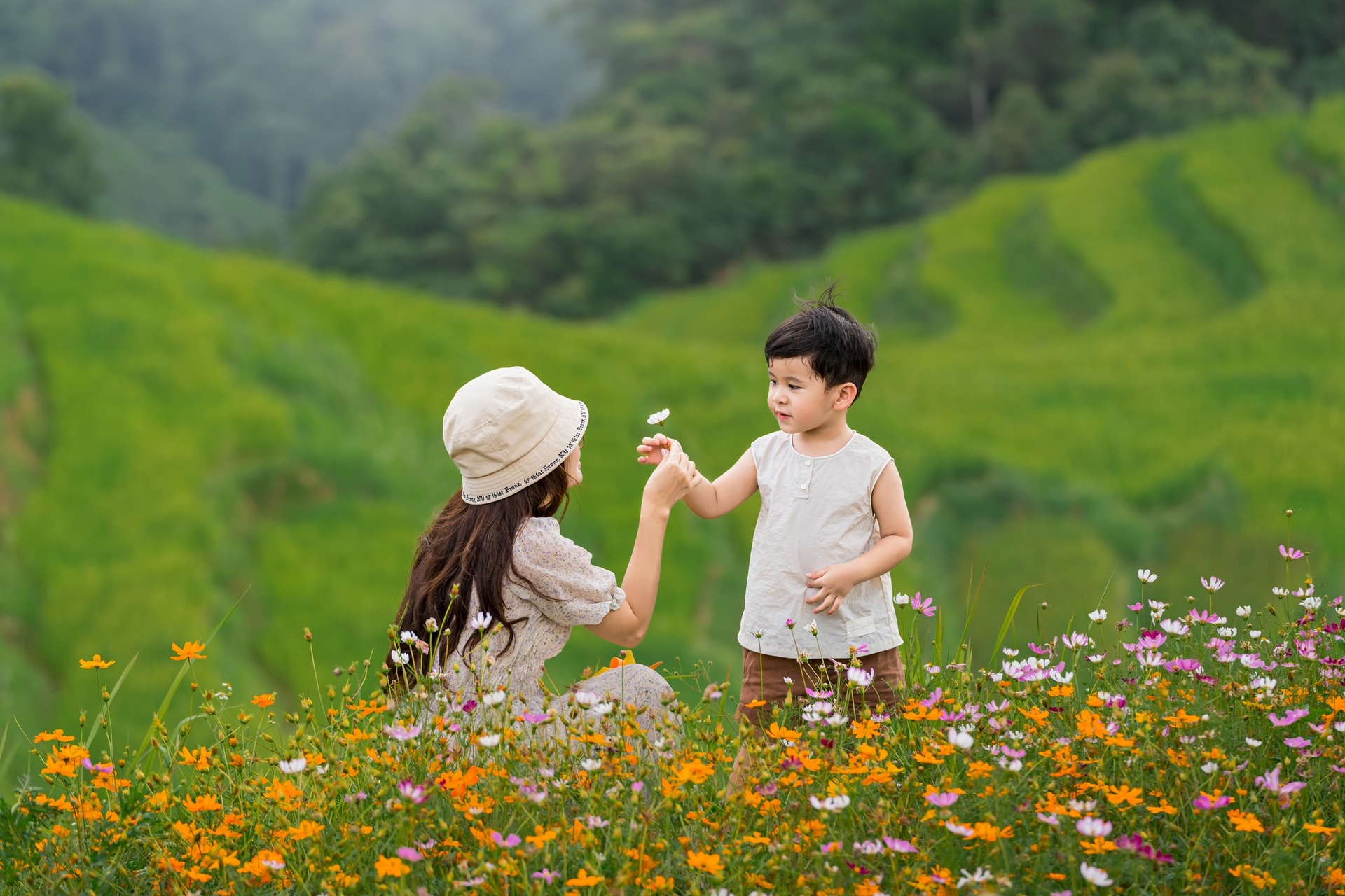 Ngọn đồi ngập tràn hoa cánh bướm đẹp thơ mộng như phim gây sốt ở Hòa Bình - 9 Ngọn đồi ngập tràn hoa cánh bướm đẹp thơ mộng như phim gây sốt ở Hòa Bình - 9