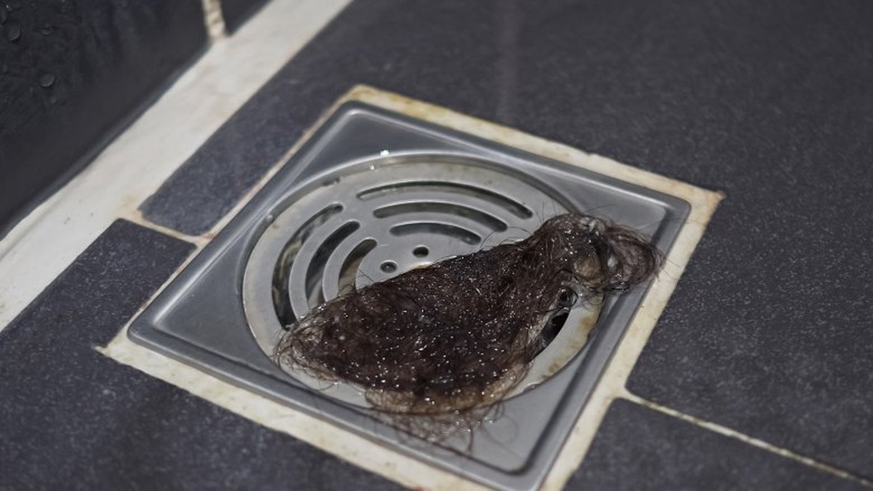 Những rắc rối từ mái tóc đẹp  - 2