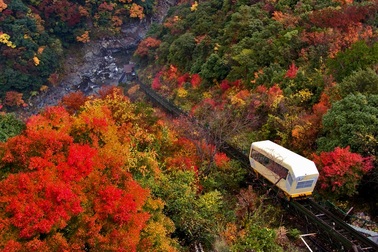 Đi cáp treo tắm suối nước nóng