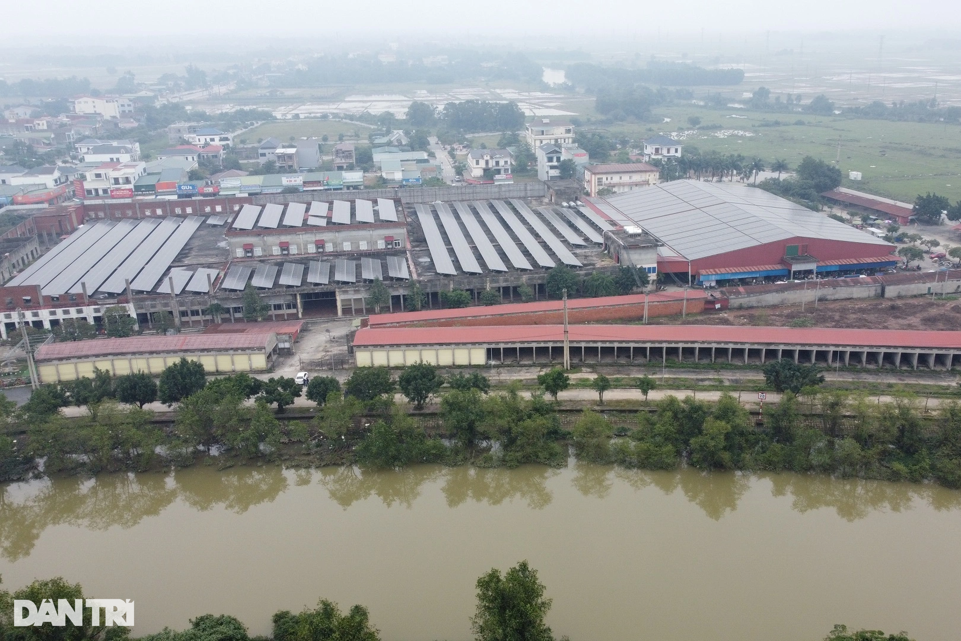 Gần 10.000m2 đất vàng nhiều năm bị bỏ hoang, thành nơi thả gà - 2 Gần 10.000m2 đất vàng nhiều năm bị bỏ hoang, thành nơi thả gà - 2