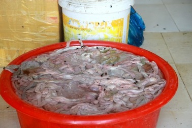 Bắt giữ 250 kg lòng lợn thối trên đường về Hà Nội tiêu thụ