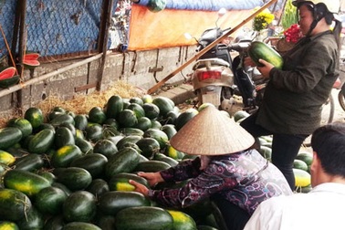 Từ ruộng ra đến chợ, dưa hấu tăng giá 15 lần