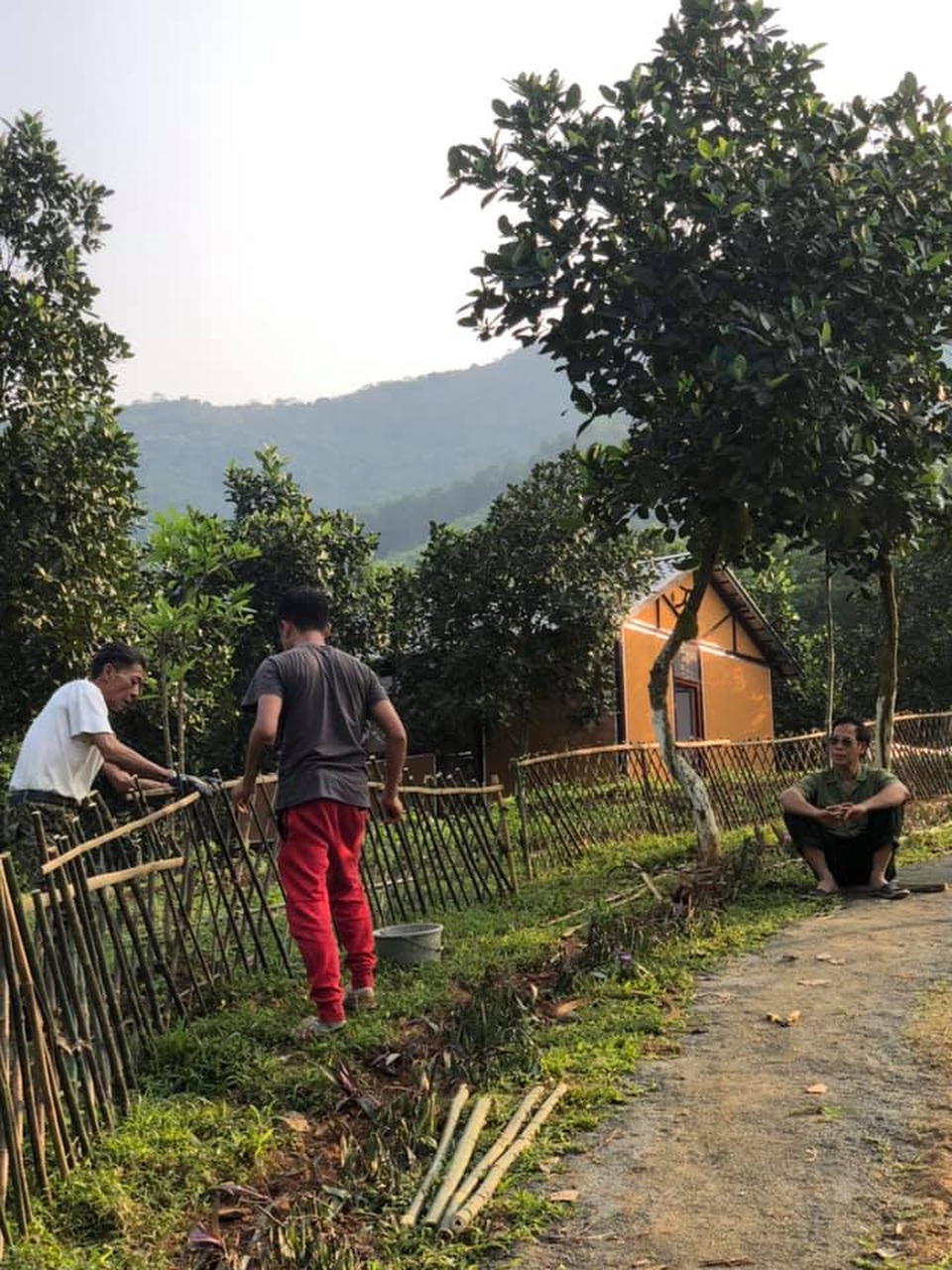 NSƯT Việt Hoàn tậu 10.000m2 đất làm nông trại, làm của hồi môn cho con gái - 1 NSƯT Việt Hoàn tậu 10.000m2 đất làm nông trại, làm của hồi môn cho con gái - 1