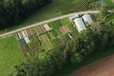 Mê mẩn vườn nông sản hữu cơ cung cấp đủ rau trái cho 50 hộ gia đình