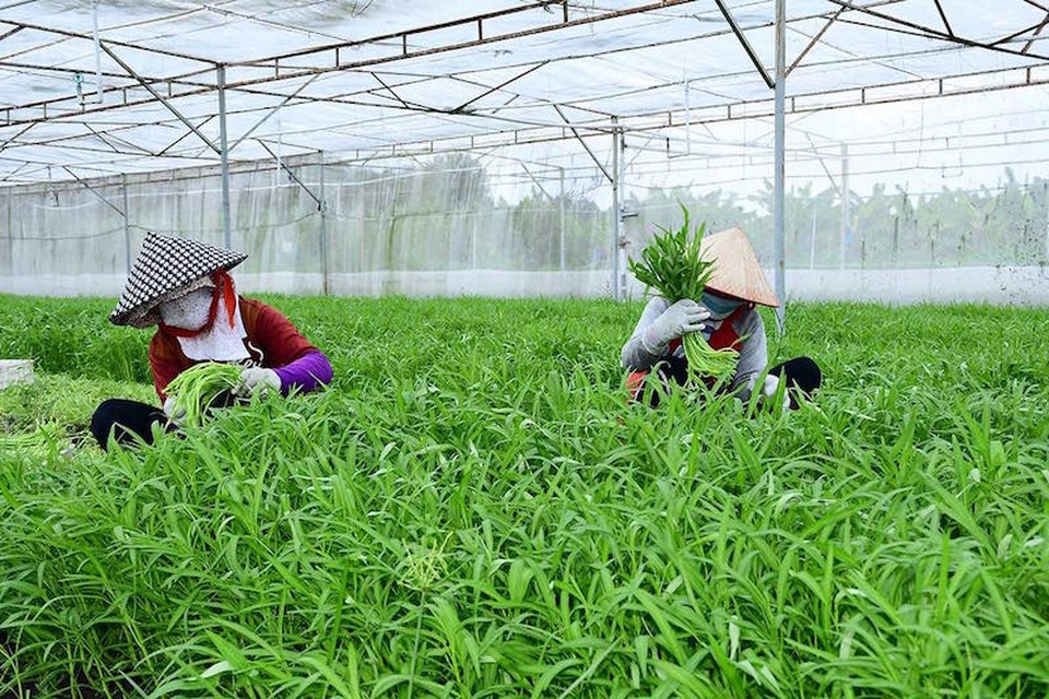 Vì sao Bình Dương bị Thủ tướng lệnh tạm dừng thanh tra Vinamit? - 1 Vì sao Bình Dương bị Thủ tướng lệnh tạm dừng thanh tra Vinamit? - 1