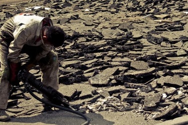 Làm việc chăm chỉ không tốt cho môi trường?